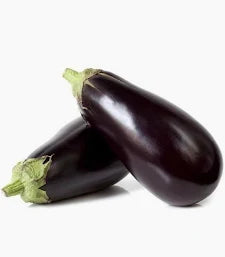 Melanzane conf. 1kg